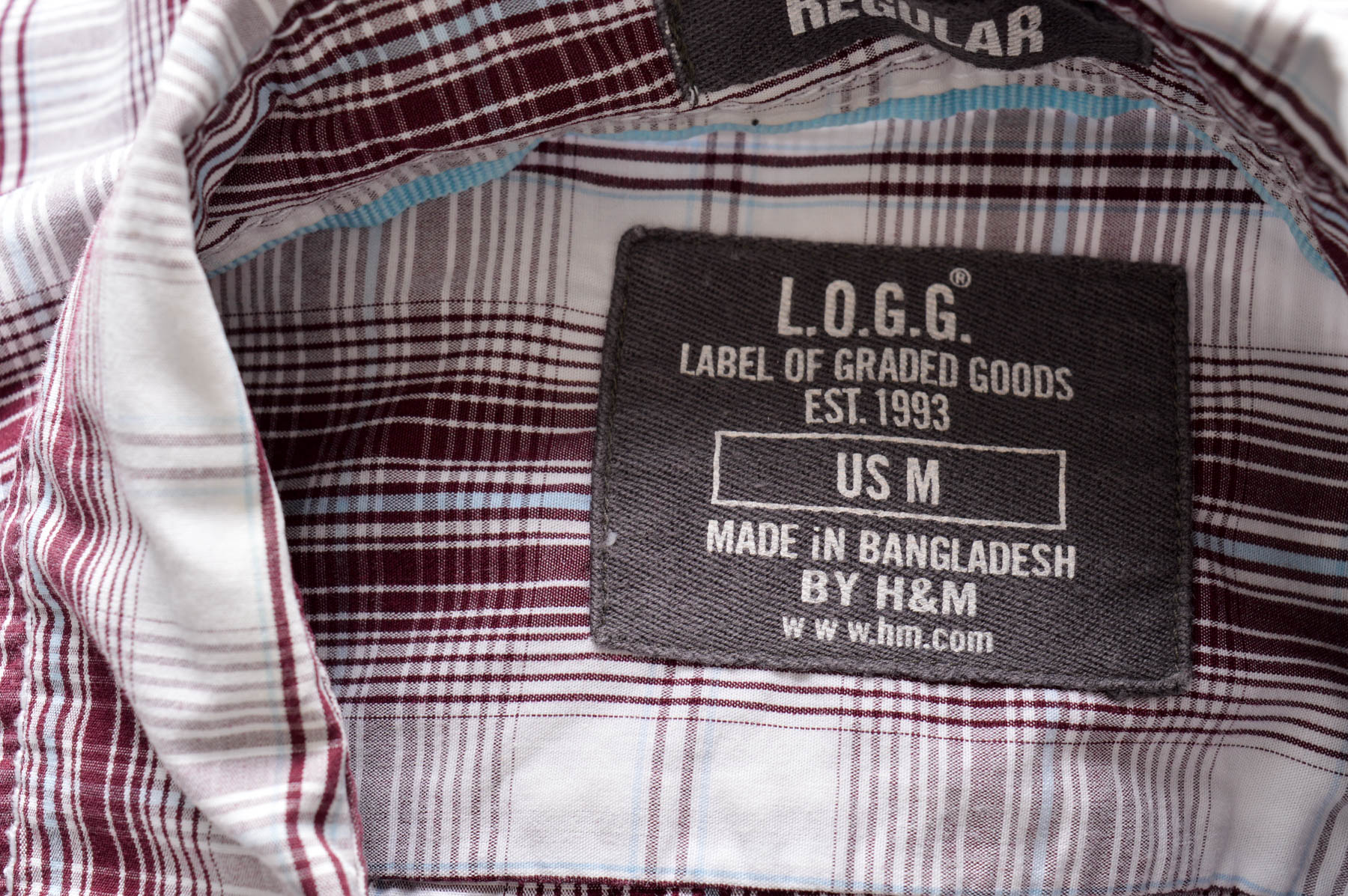 Męska koszula - L.O.G.G - 2