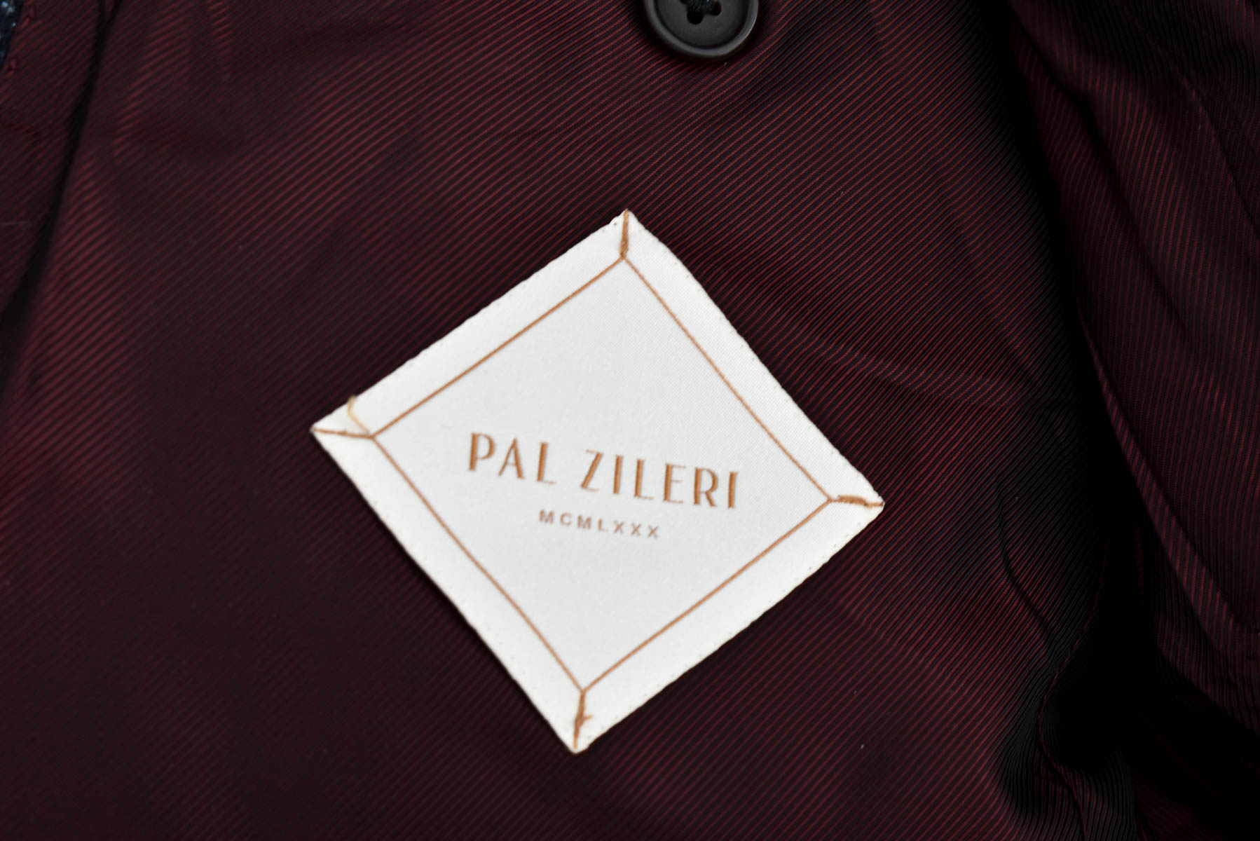 Men's blazer - PAL ZILERI - 2