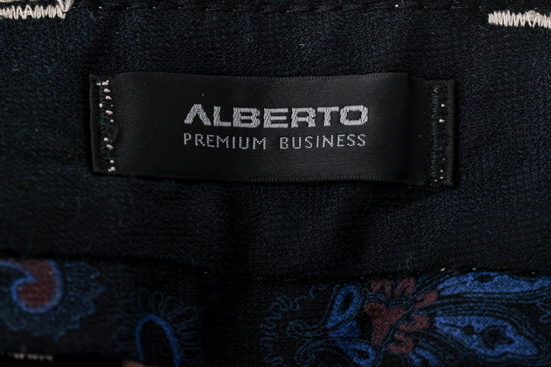 Męskie spodnie - ALBERTO - 2