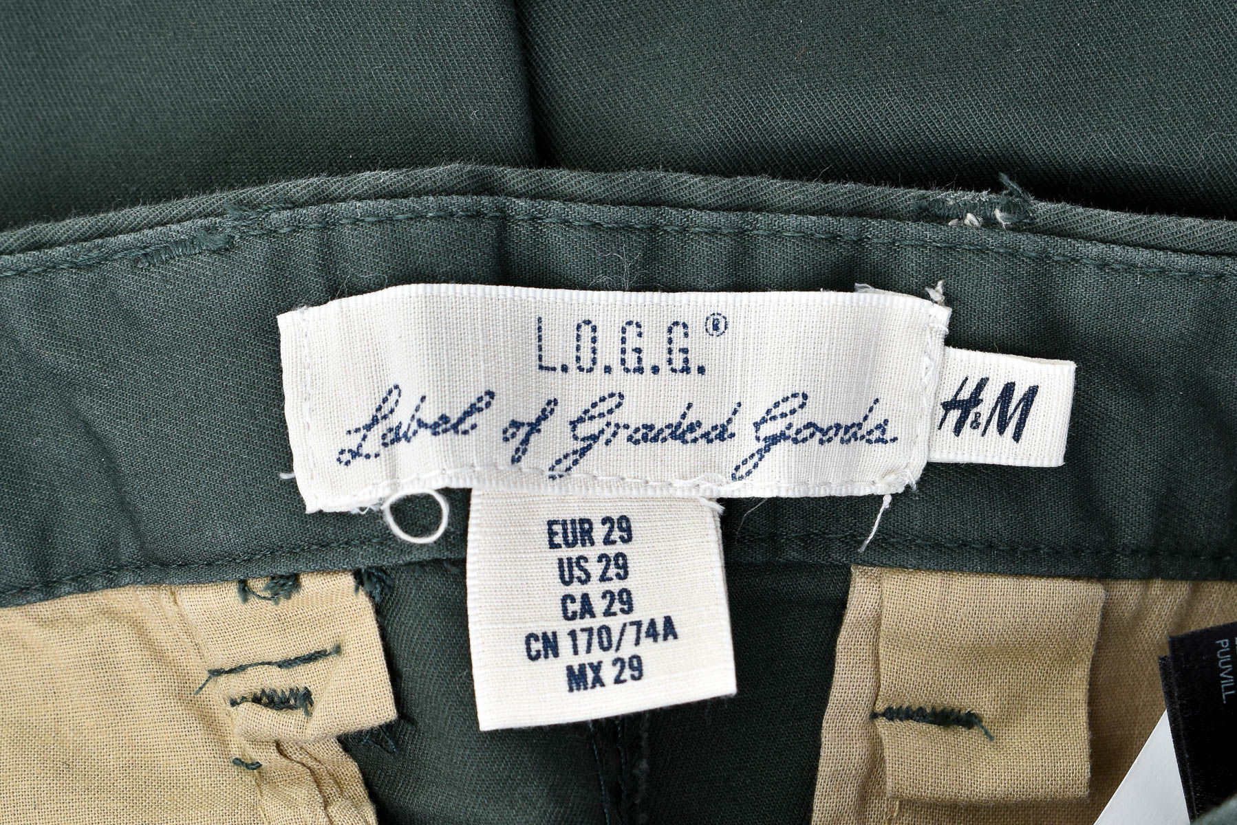 Pantalon pentru bărbați - L.O.G.G. - 2