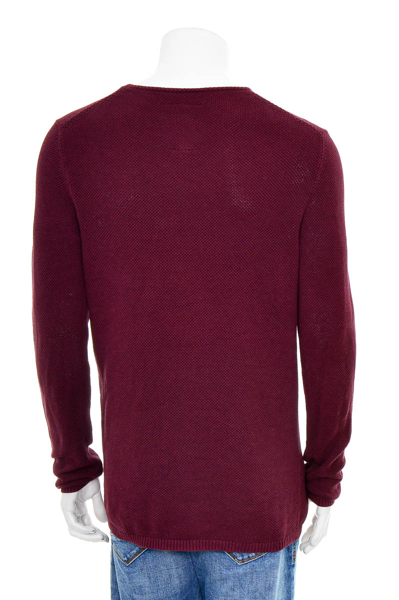 Мъжки пуловер - TOM TAILOR Denim - 1