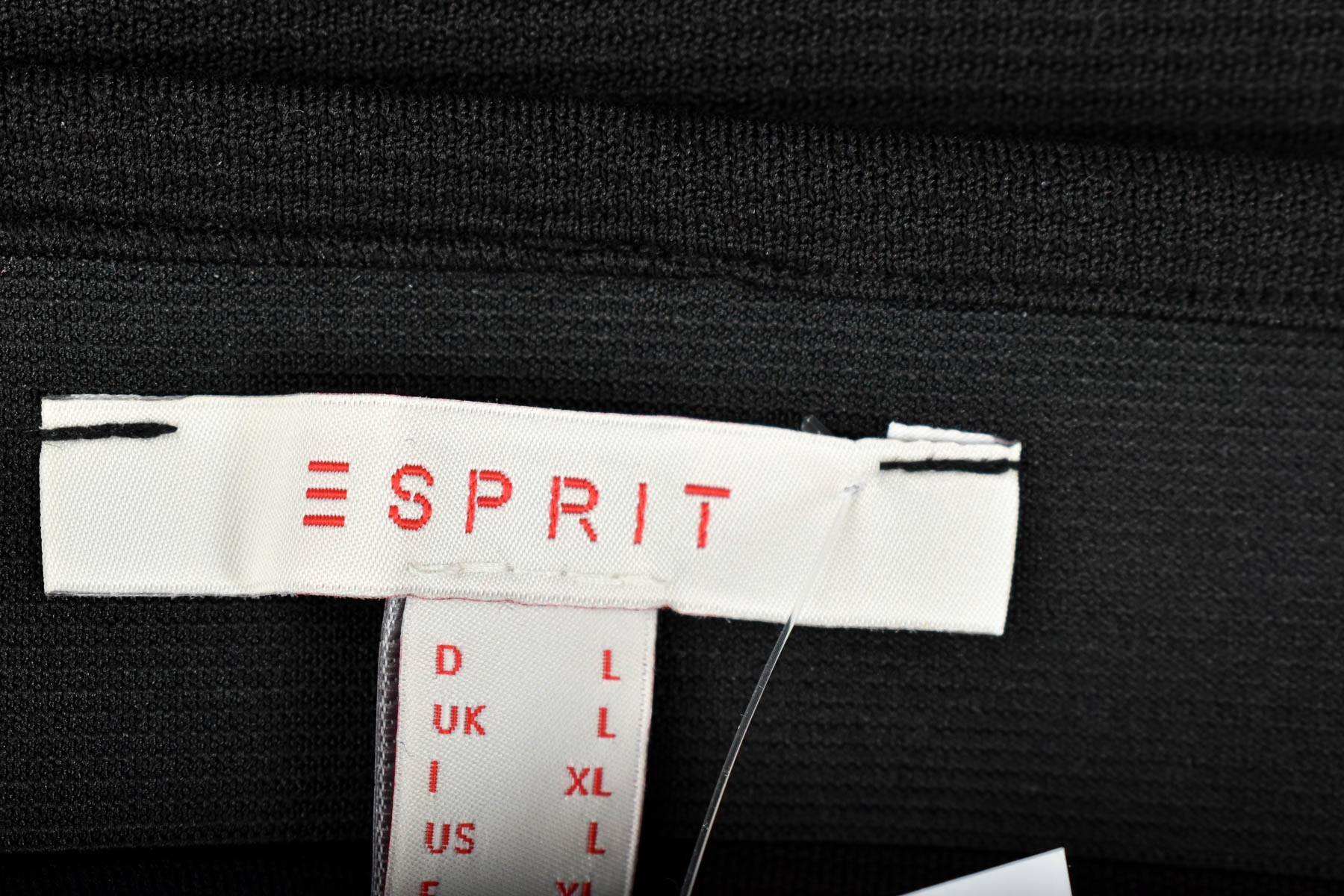 Skirt - ESPRIT - 2