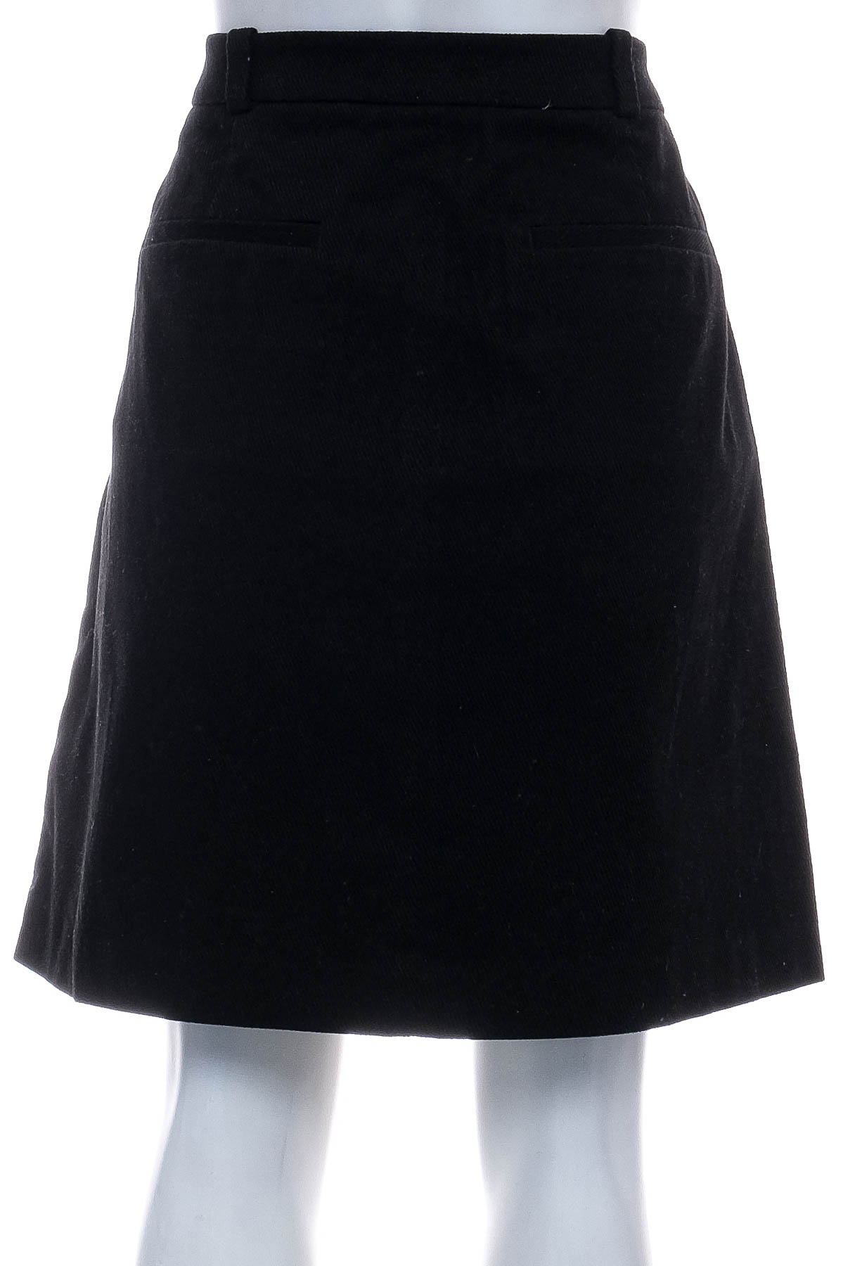 Skirt - Massimo Dutti - 1