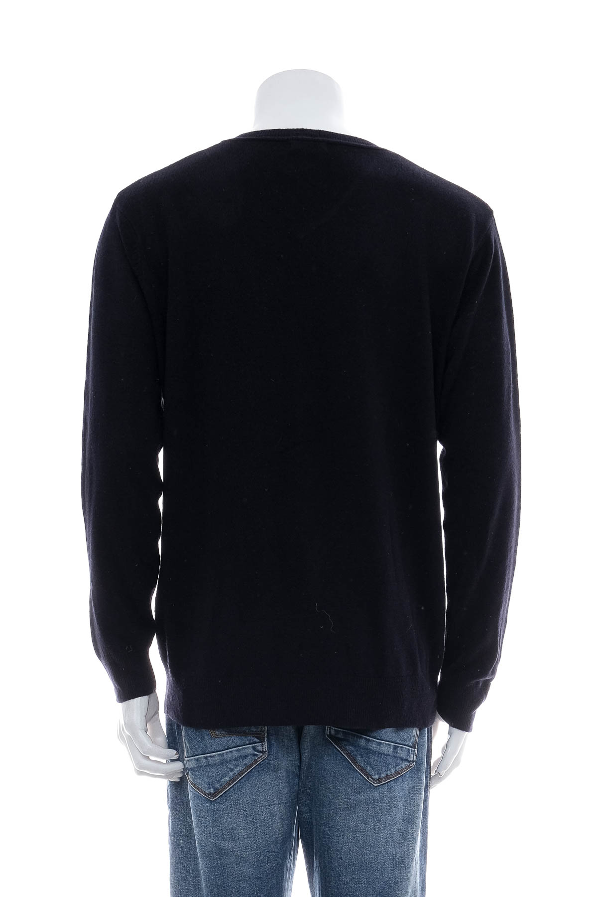 Мъжки пуловер - CEDARWOOD STATE - 1