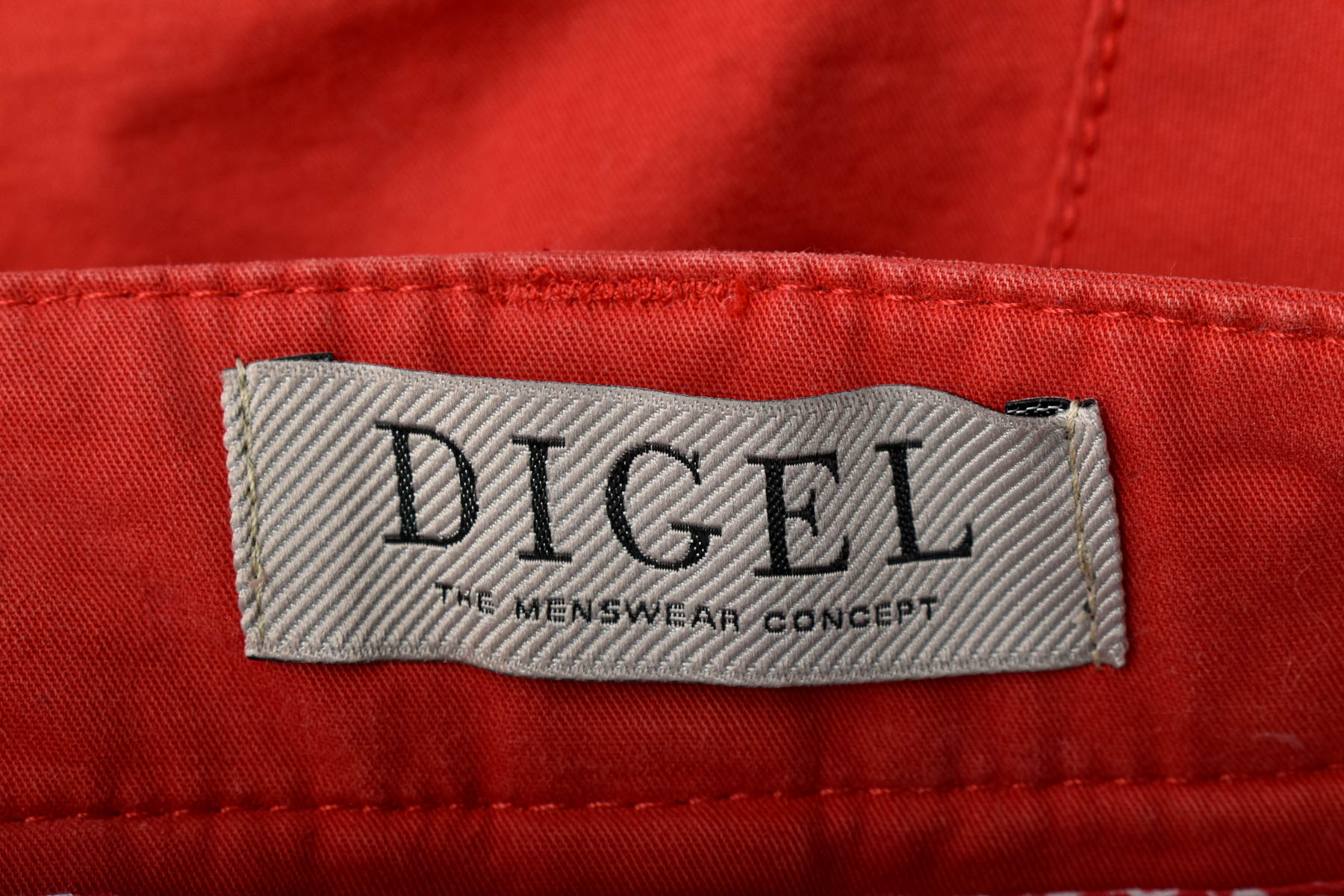 Мъжки панталон - Digel - 2