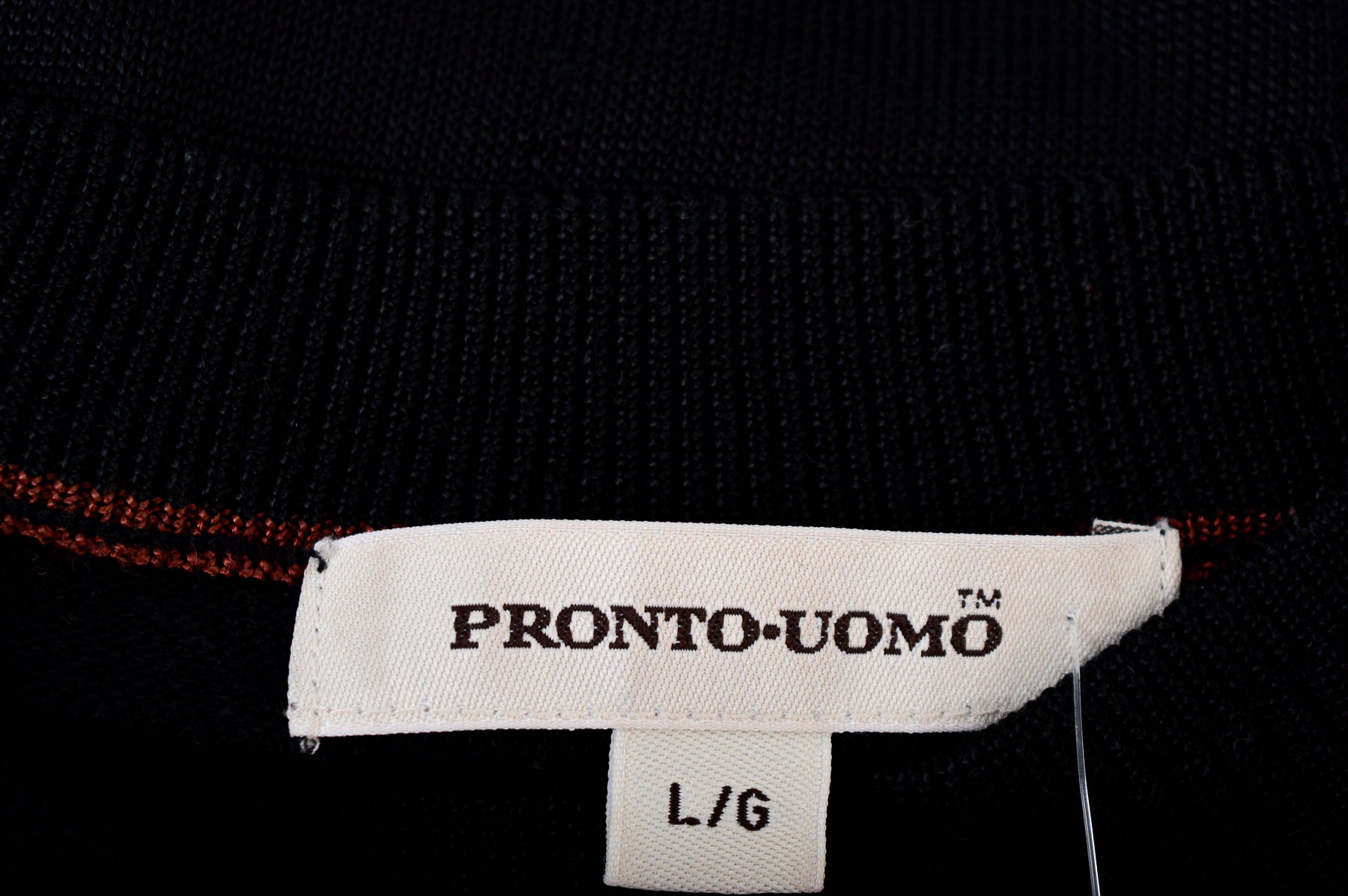 Мъжки пуловер - Pronto Uomo - 2