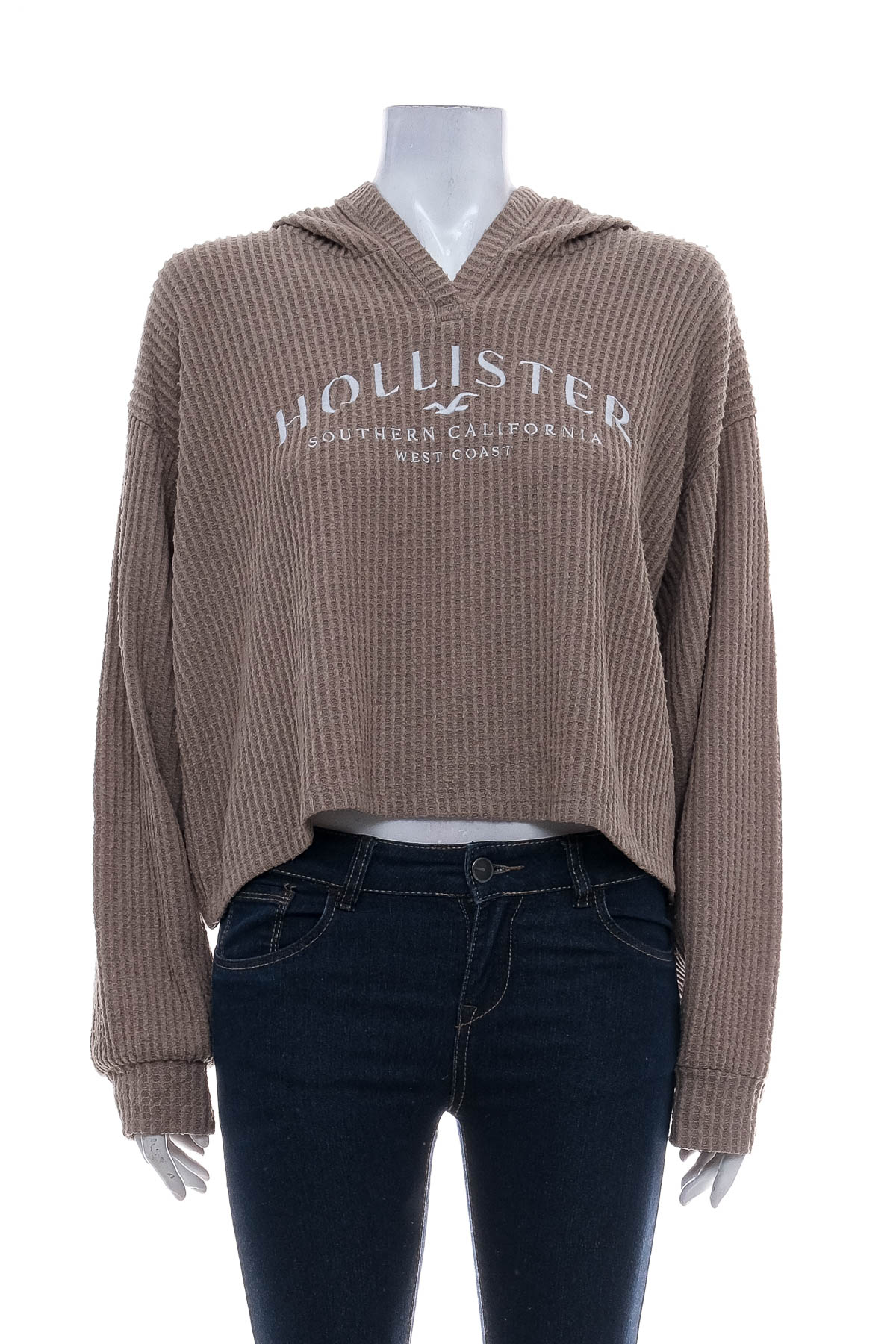 Γυναικείο πουλόβερ - Hollister - 0