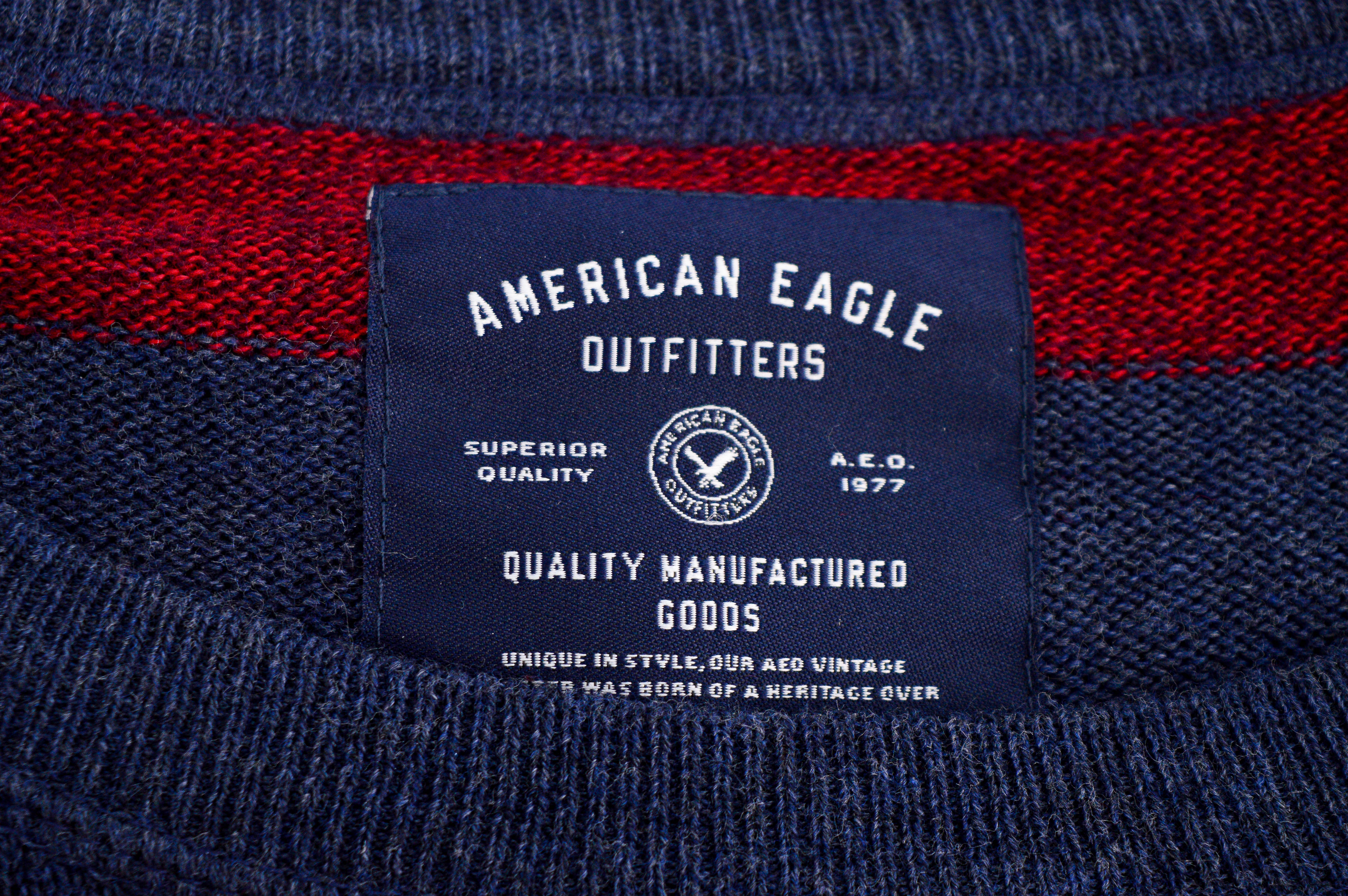 Мъжки пуловер - American Eagle - 2