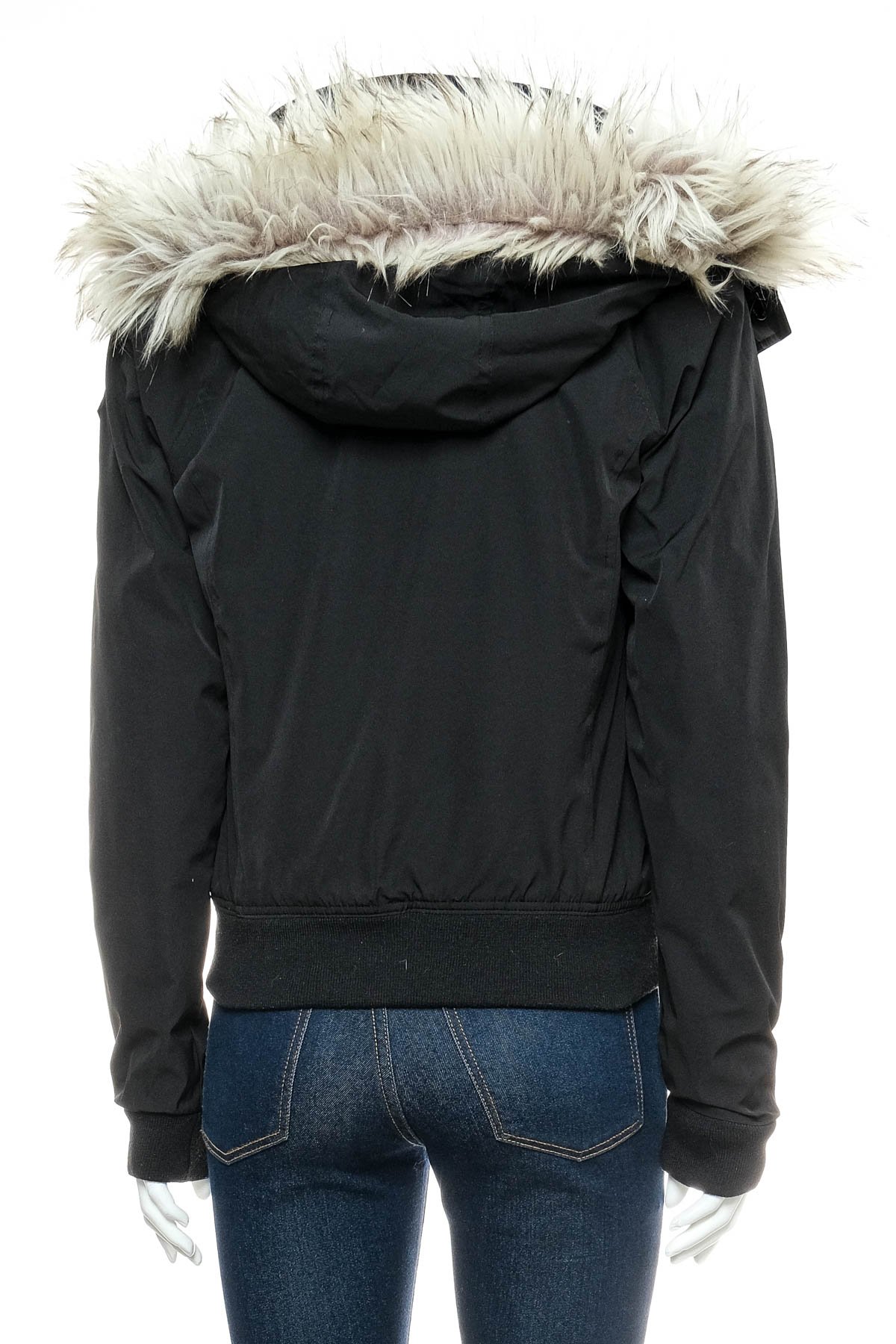 Female jacket - HOLLISTER - 1