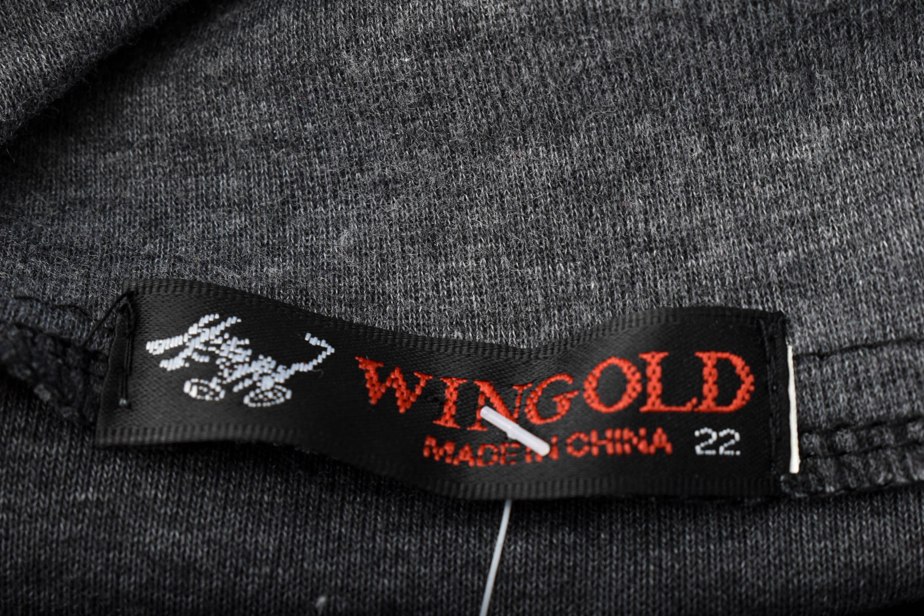 Ανδρική μπλούζα - Wingold - 2