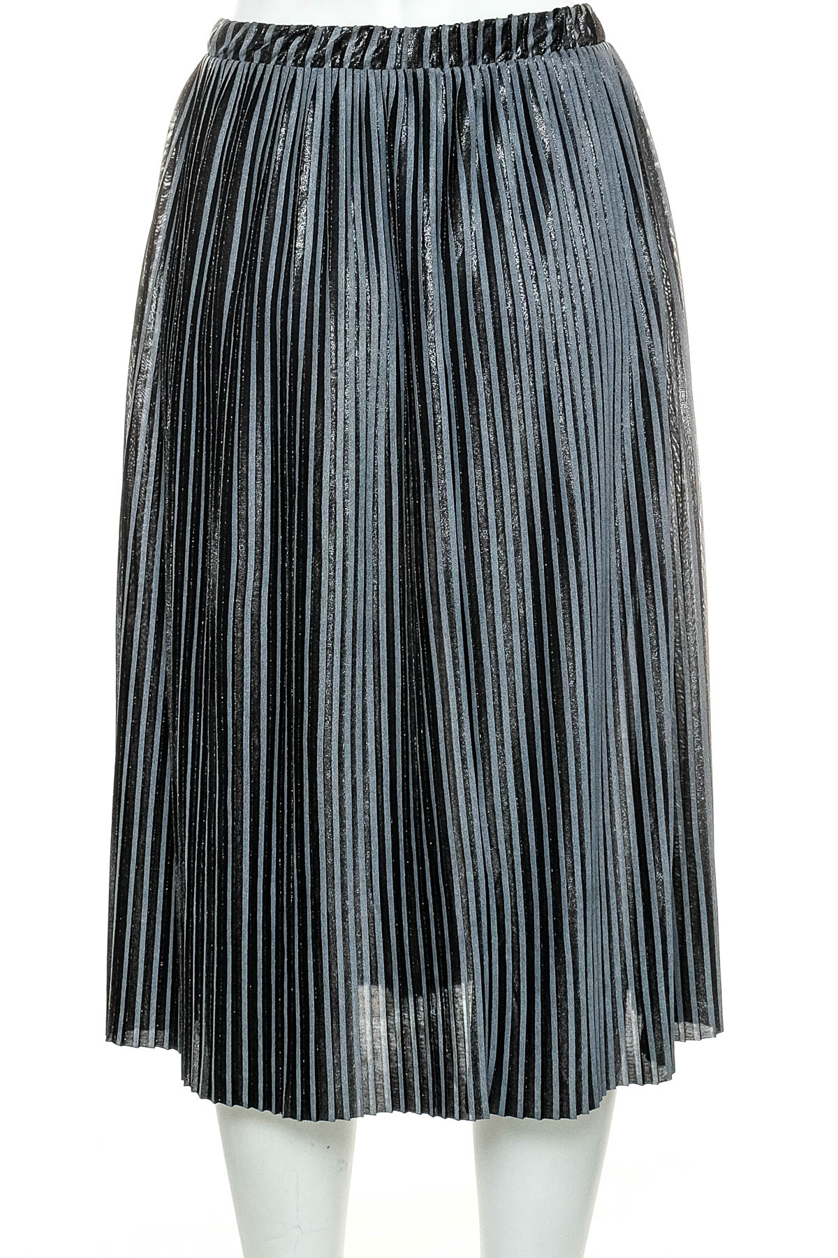 Skirt - ZARA W&B Collection - 1
