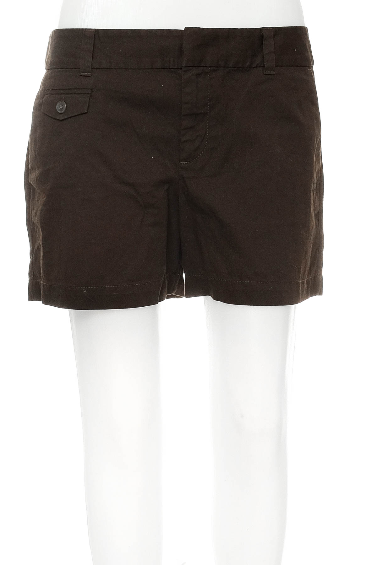 Female shorts - ANN TAYLOR LOFT - 0