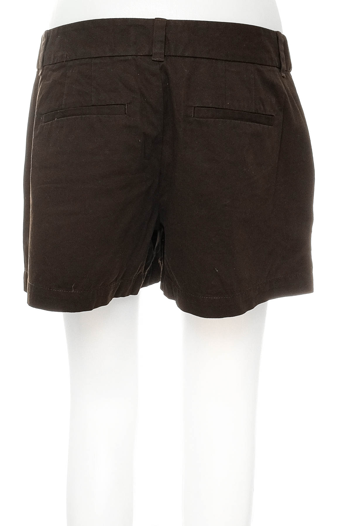 Female shorts - ANN TAYLOR LOFT - 1