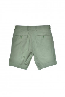 Men's shorts - Only & Sons back