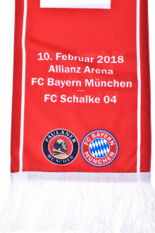 FC Bayern Munchen back