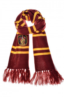 Harry Potter front