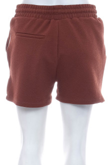 Female shorts - COLLOSEUM back