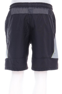 Men's shorts - CORNILLEAU back