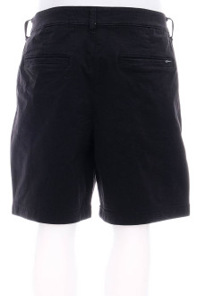 Men's shorts - HOLLISTER back