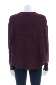 Women's sweater - KNOX ROSE back