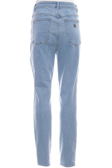 Abrand Jeans back