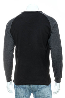Мъжки пуловер - Pierre Cardin back