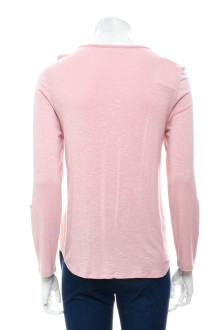 Bluza de damă - Style & Co back