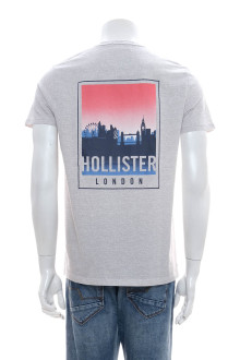 HOLLISTER back